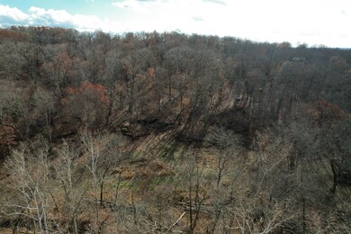 000 Hwy Pp, Collins, MO 64738 - photo 5