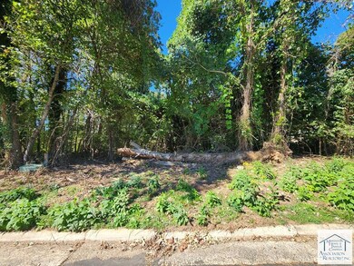 0 Dogwood Dr, Laurel Park, VA 24112 - photo 3