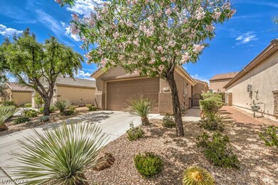 Mature desert landscaping throughout the grounds.