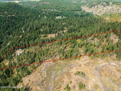 289 Kelso Woods Dr, Athol, ID 83801 - photo 2