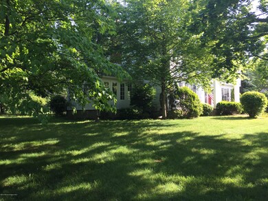 Side Yard 1