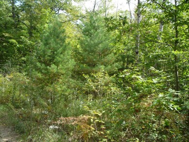 Heavily Wooded