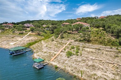 Aerial view of a nearby body of water and a tree 