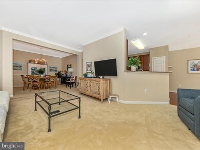11180 Chambers Ct unit F, Woodstock, MD 21163 - photo 6