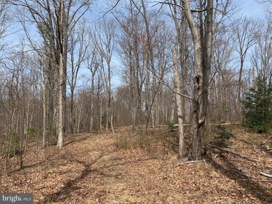 0 FT Valley Rd. Francis Thorton Valley Rd, Sperryville, VA - photo 7