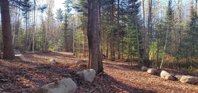 35 Bear Paw Trail unit 35, Littleton, NH 03561 - photo 6