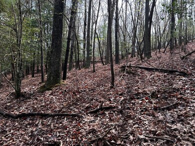 LT2756 Medina Ct, Ellijay, GA 30540 - photo 6