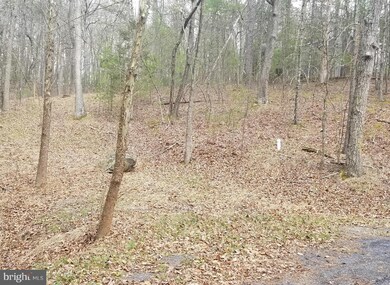 0 Palmer Rd unit 1003241395, Basye, VA 22810 - photo 3