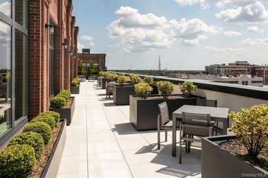 199 2nd St unit E902, Mineola, NY 11501 - photo 5