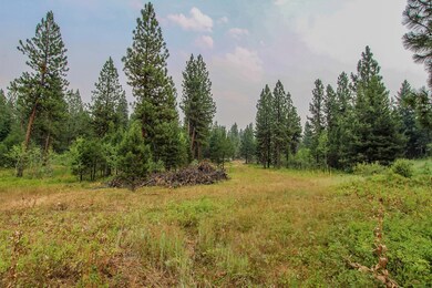 6 Silver Stone Ct unit 9, Cascade, ID 83611 - photo 6