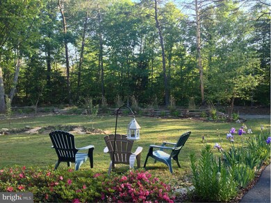 14161 Plentiful Creek Ln, Spotsylvania, VA 22551 - photo 3