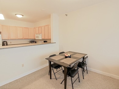 370 Farrell St unit 312, South Burlington, VT 05403 - photo 6