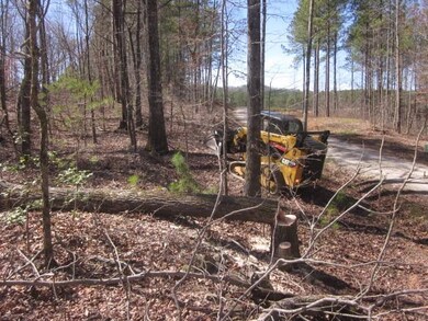 0 Bear Creek Rd unit 7555375, Talking Rock, GA 30175 - photo 2