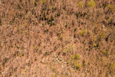 27064 Hickory Tree Ln, Lincoln, MO 65338 - photo 7