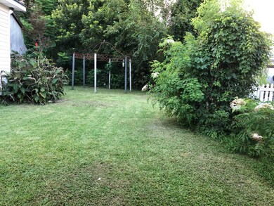 Back Yard (2)