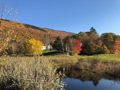 214 S End Rd, East Dorset, VT 05253 - photo 7