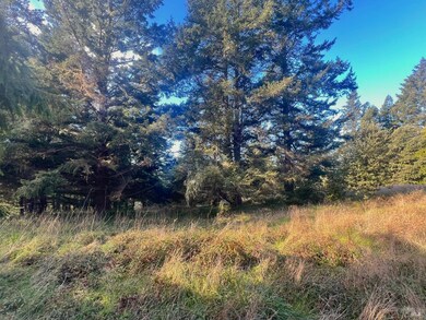 38065 Foothill Close, Sea Ranch, CA 95480 - photo 4