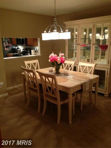 8521 Chapman Oak Ct, Springfield, VA 22153 - photo 7