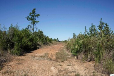 0A Anderson Rd, Choudrant, LA 71227 - photo 2