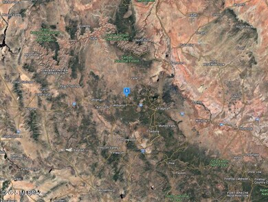 100 W Ascension Dr, Red Lake, AZ 86046 - photo 4