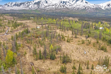 E Round Top Rd, Talkeetna, AK 99676 - photo 5