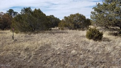 20190210_134051_resized