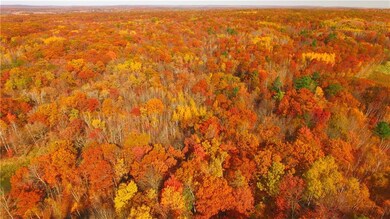 00 Hogback Rd, Chetek, WI 54728 - photo 2