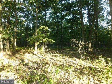 42 A Big Timber Dr, Whitacre, VA 22625 - photo 2