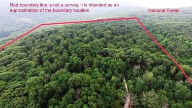 10873 N Devils Den Rd, Winslow, AR 72959 - photo 4