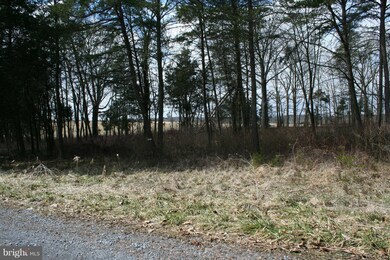LOT: 1 Queenship Ln, Berryville, VA 22611 - photo 7
