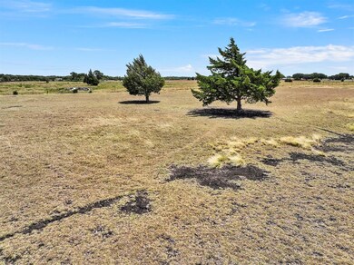 TBD W Pecan Tree Rd, Waxahachie, TX 75165 - photo 3