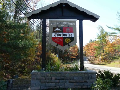 40 Huttwil Dr unit C173, Madison, NH 03849 - photo 4