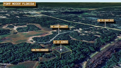 Fort Mc Coy unit FL 32134, Fort McCoy, FL 32134 - photo 4