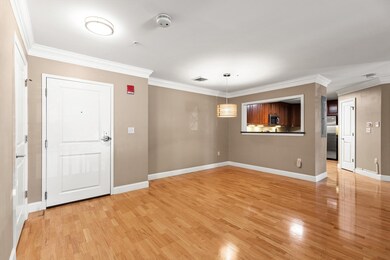 320 Rindge Ave unit 104, Cambridge, MA 02140 - photo 6