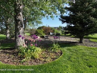 Mature landscaping