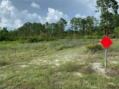 0 Access Undetermined unit 222064855, Lehigh Acres, FL 33974 - photo 4
