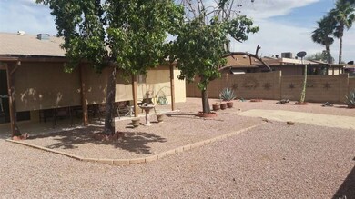 backyard view #1