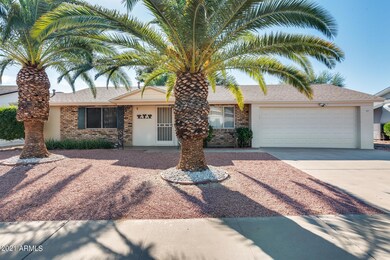 Beautiful Palm trees