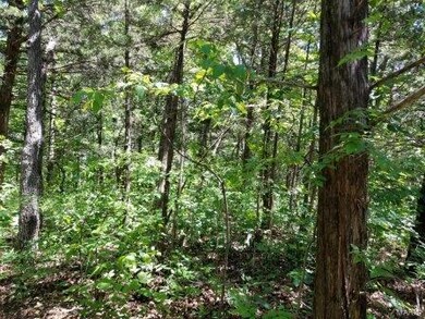 10 Watts Acres Rd, Robertsville, MO 63072 - photo 6