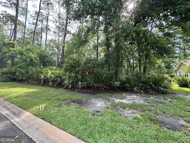 0 Black Tern Way, Waverly, GA 31565 - photo 3