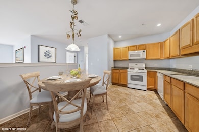 965 Rogers St unit 202, Downers Grove, IL 60515 - photo 6