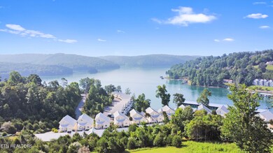 dji_fly_20240807_102026_139_172309032914