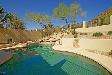 Backyard 2