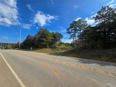 20 Acres Hwy E, Cadet, MO 63630 - photo 4