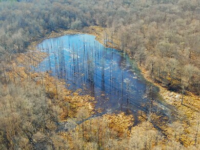 0 Cr 437 unit 24-2709, Ashland, MS 38603 - photo 3