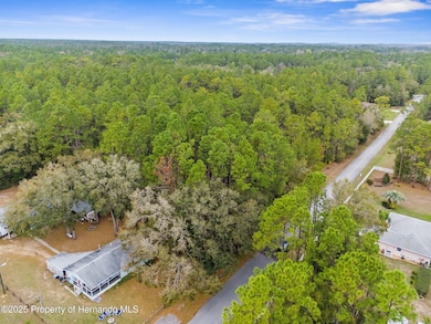 2-web-or-mls-DJI_20250219112901_0270_D