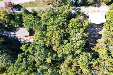 3-web-or-mls-DJI_0137