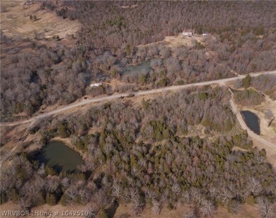 TBD Twin Pines Ln, Howe, OK 74940 - photo 5