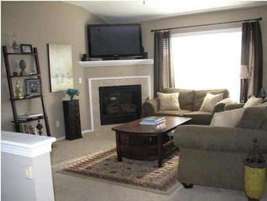 LR and fireplace