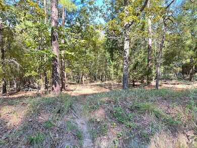 0 A Acorn Ln, Santee, SC 29142 - photo 7